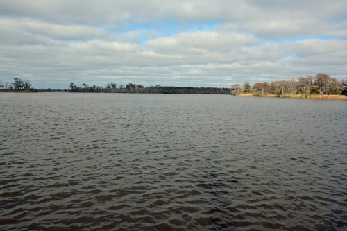 A calm lake under a cloudy sky, with trees lining the shore in the background.