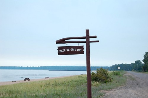 alt