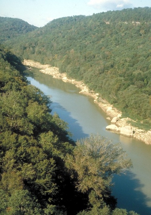 A serene river flows through a lush green landscape, surrounded by hills and rocky outcrops under a clear sky.