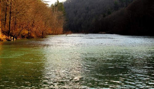 A serene river flows through a wooded landscape, surrounded by trees and mountains under a clear sky.