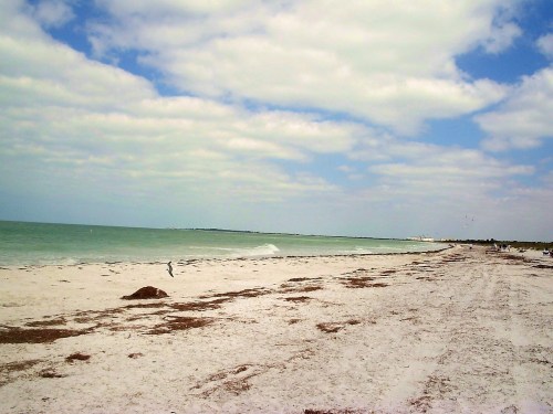 A serene beach scene with soft waves, sandy shore, and a cloudy blue sky in the background.
