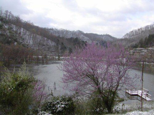 A serene landscape featuring a lake surrounded by hills, with a blooming pink tree in the foreground.