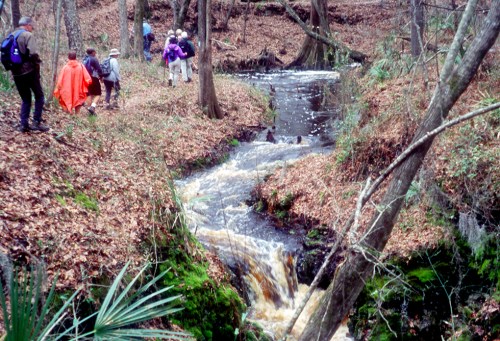 A group of hikers walks along a wooded trail beside a flowing stream, surrounded by autumn leaves and trees.