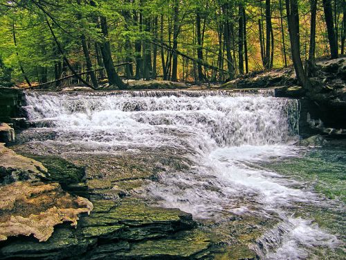 A serene waterfall cascades over rocky ledges, surrounded by lush green trees in a tranquil forest setting.