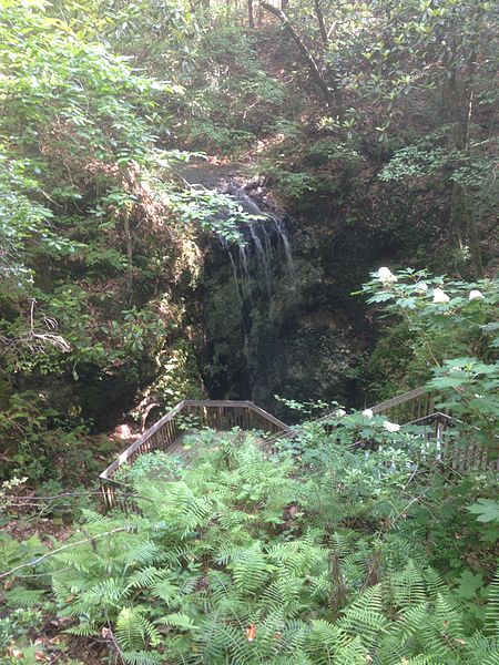 A serene waterfall cascades down rocky terrain, surrounded by lush greenery and ferns in a tranquil forest setting.