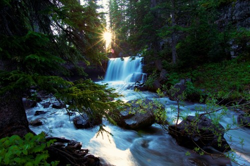 A serene waterfall cascades through a forest, with sunlight filtering through the trees, illuminating the flowing water.
