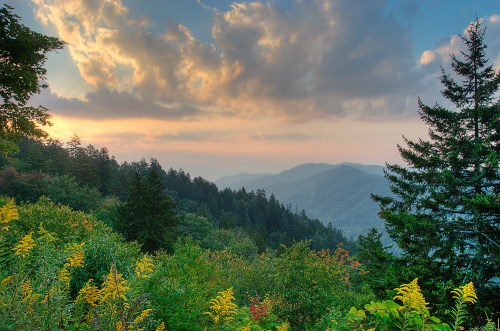 A scenic view of mountains and forests under a colorful sky, with vibrant foliage in the foreground.