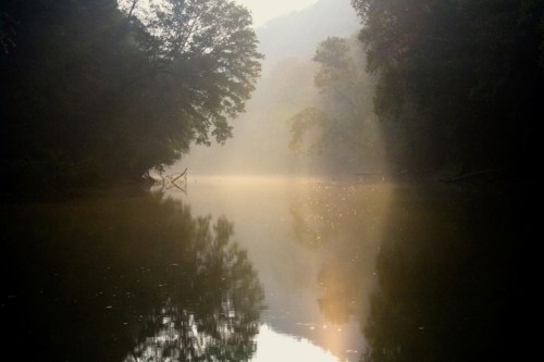 A serene river scene shrouded in mist, with trees lining the banks and soft light reflecting on the water's surface.