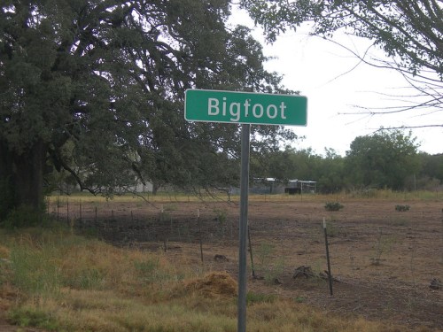 A green street sign reading "Bigfoot" stands in a rural area with trees and an open field in the background.