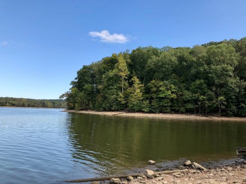 A serene lake surrounded by lush green trees under a clear blue sky, with a rocky shore in the foreground.
