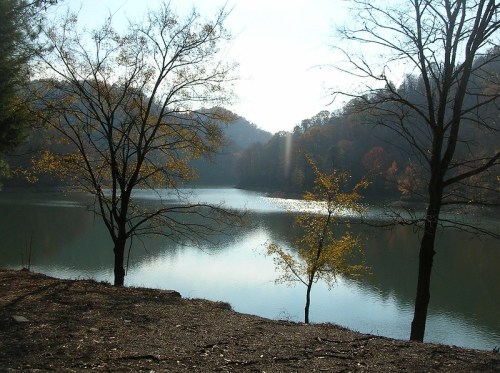 A serene lake surrounded by trees, reflecting the soft light of dawn in a tranquil landscape.