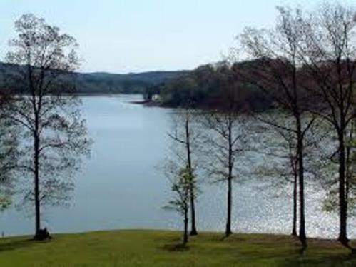 A serene lake surrounded by trees, reflecting the clear blue sky and distant hills.