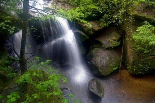 A serene waterfall cascades over rocks, surrounded by lush green foliage in a tranquil forest setting.