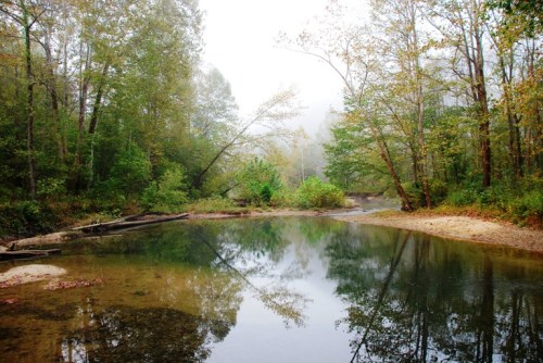 A serene river scene surrounded by trees, with mist and reflections on the water's surface.