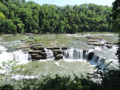 A scenic view of a waterfall cascading over rocks, surrounded by lush green trees and a flowing river.