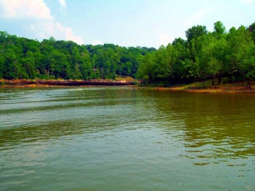 A serene river scene surrounded by lush green trees under a clear blue sky.