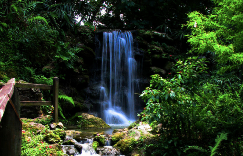A serene waterfall cascading over rocks, surrounded by lush green foliage and vibrant plants.