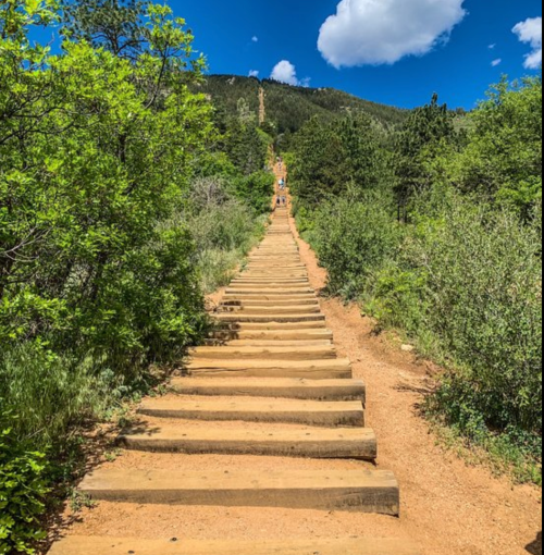 A wooden staircase leads up a dirt path through lush greenery under a blue sky with fluffy clouds.