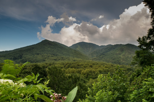 Lush green mountains under a cloudy sky, with trees in the foreground.