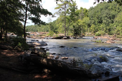 A serene river flows through a lush green landscape, surrounded by trees and rocky banks under a clear blue sky.