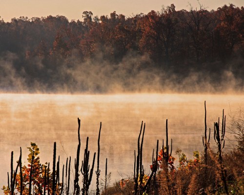 A serene lake at dawn, surrounded by mist and autumn foliage, with bare branches silhouetted in the foreground.