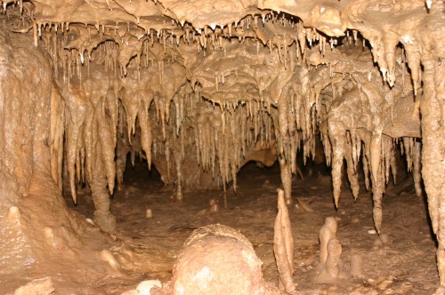A dimly lit cave interior featuring various stalactites and stalagmites on the rocky ground.