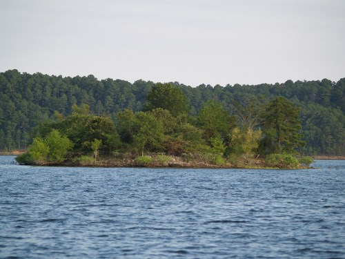 A small, lush island surrounded by calm water, with trees and greenery against a backdrop of dense forest.