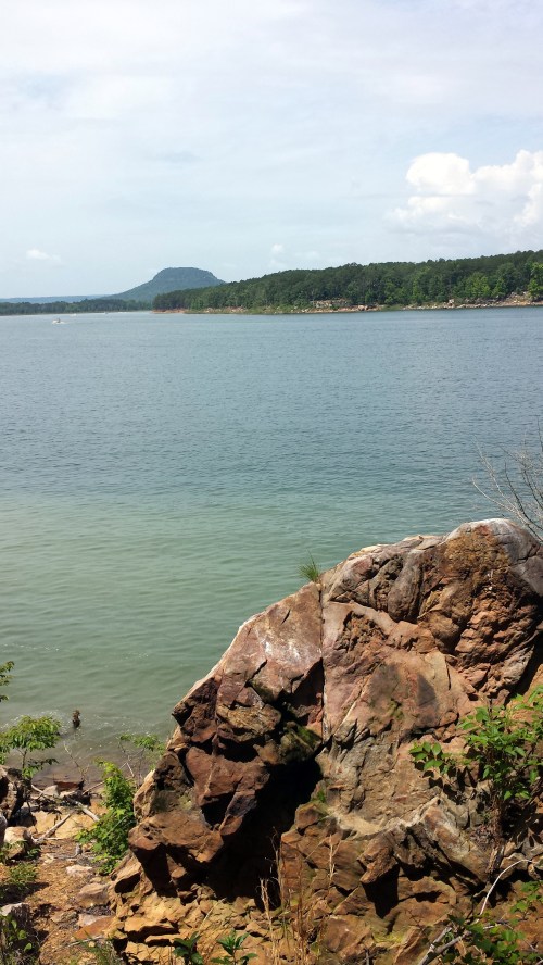 A rocky shoreline with calm water, trees in the background, and a distant mountain under a partly cloudy sky.