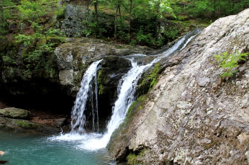 A serene waterfall cascading over rocky terrain into a clear pool, surrounded by lush green foliage.