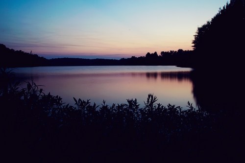 A serene lake at sunset, reflecting soft colors in the water, surrounded by silhouettes of trees and plants.