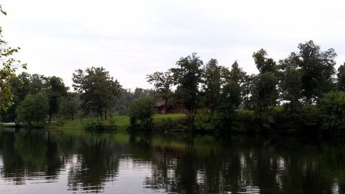 A serene lake surrounded by trees, reflecting the landscape and a distant cabin on a grassy hill.