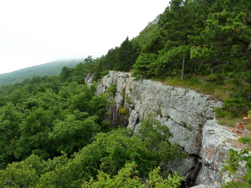 A rocky cliff surrounded by lush green trees and misty mountains in the background.