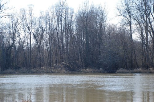A calm river reflects trees along its banks, with bare branches visible against a clear sky.