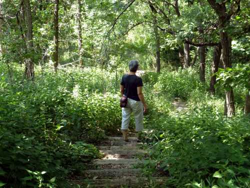 A person walks down a wooded path surrounded by lush greenery and trees.