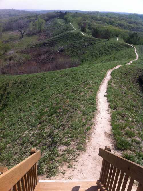 A winding dirt path through lush green hills, viewed from a wooden staircase overlooking the landscape.