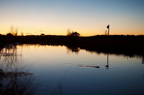A serene sunset over a calm water body, with ripples and a silhouette of a post in the background.