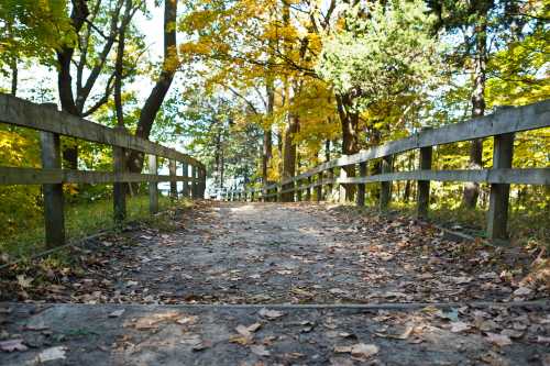 A dirt path lined with wooden fences, surrounded by trees with autumn leaves in vibrant colors.