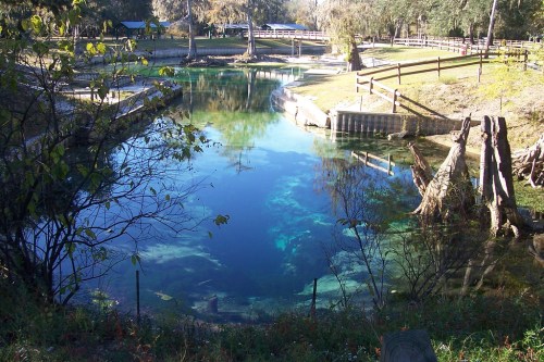 A serene pond surrounded by trees and grassy banks, reflecting clear blue water and a peaceful natural setting.