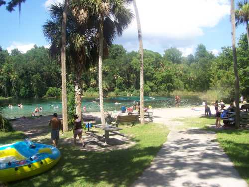 A sunny park scene with people swimming in a clear blue water, surrounded by palm trees and picnic areas.