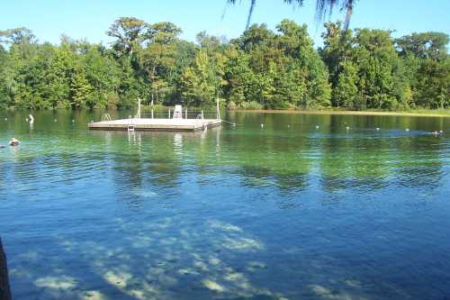 A serene lake with clear water, featuring a wooden dock and lush green trees surrounding the area.