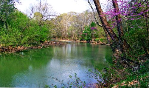 A serene river surrounded by lush greenery and blooming trees, reflecting a peaceful natural landscape.