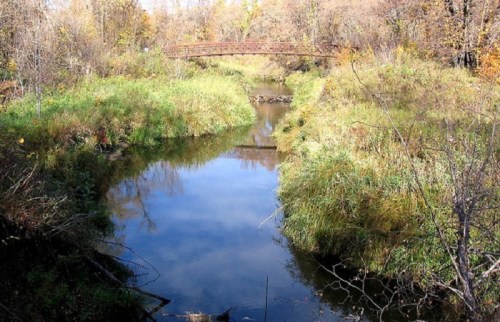 A serene river flows through lush greenery, with a rustic bridge arching over the water under a clear blue sky.