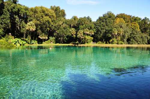 A serene, clear blue lake surrounded by lush green trees and vegetation under a bright blue sky.