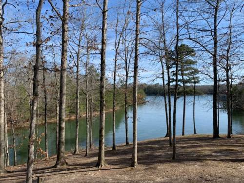 A serene lake surrounded by bare trees and greenery under a clear blue sky.