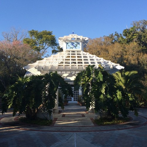 A white, lattice-roofed structure surrounded by lush greenery under a clear blue sky.