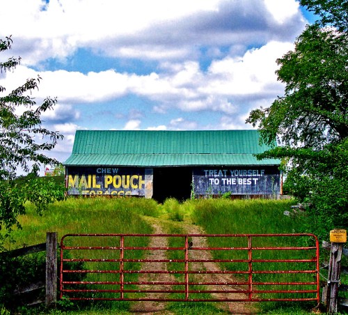 A weathered barn with a green roof, featuring vintage advertisements, surrounded by tall grass and a red gate.
