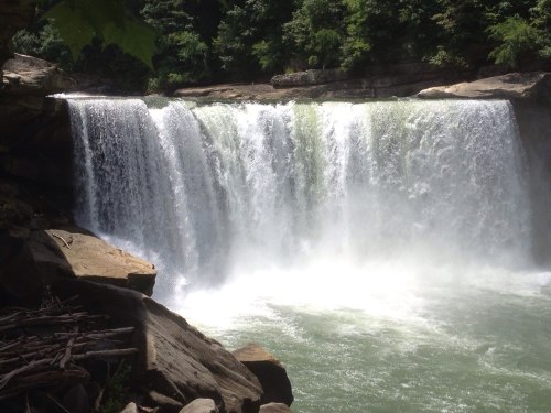 A cascading waterfall flows over rocky cliffs into a serene green pool, surrounded by lush trees.