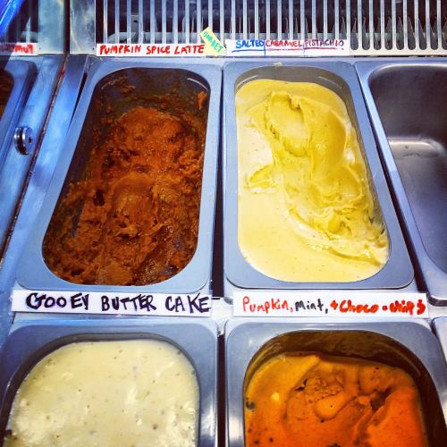 Four ice cream flavors in metal tubs: pumpkin spice latte, gooey butter cake, salted caramel pistachio, and pumpkin mint chocolate chip.