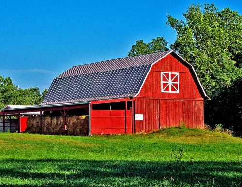 A red barn with a metal roof, surrounded by green grass and trees under a clear blue sky.