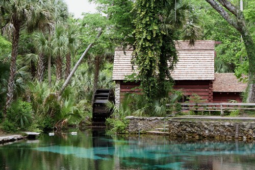 A serene scene featuring a wooden cabin by a pond, surrounded by lush greenery and a waterwheel.